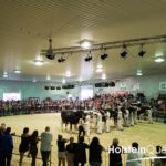 Cette années, les jugements d'animaux Holstein ne se passeront pas sur le ring comme d'habitude.