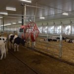 En raison de la COVID-19, les visites de fermes passent en mode virtuel.