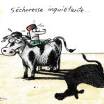 Climat désertique