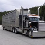 Le camion impliqué dans l'accident ressemble à celui-ci.
