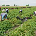 La pénurie de main-d’œuvre est plus difficile que jamais