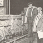 À l'aéroport, Fernand Soucy et son fils Charles reçoivent des porcs en provenant du Danemark.