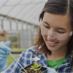 Les lauréates du concours Chapeau, les filles!