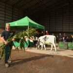 Chaque producteur comme Martin Lacoste de la Ferme Cougar apporte quelques plants de maïs pour effectuer une analyse rapide.