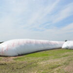 Les silos-sacs gagnent en popularité et surtout, sont une bonne façon d'entreposer des fourrages supplémentaires.