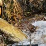 Une carte interactive sur le déversement d’eaux usées