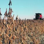 La récolte de soya en Amérique du Sud pourrait être plus difficile avec l'arrivée de la Nina