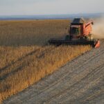 La demande fait grimper le soya