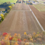 Parcelles d'essai de soya près de St-Liboire en Montérégie.