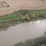 Les bandes riveraines, c’est payant !