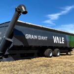 Grain Giant de Vale
