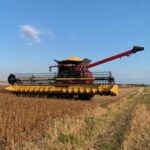 Marché des grains: Les prix font du surplace