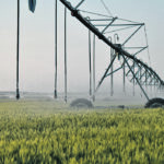 Le fédéral mise sur des projets d'irrigation en agriculture.