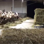 S&rsquo;amuser tout en étant confiné