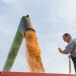 Rapport surprise du USDA