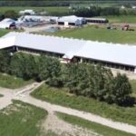 La Ferme Y. Lampron fait partie des fermes qui seront présentées lors du Rendez-vous d'expertise sur les fermes de 100 vaches et plus.