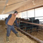 Samuel Paradis fait une démonstration de la barrière qui bouge pour aider les bovins à manger plus loin.