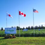 Une société de semences mise sur ses relations avec des acheteurs internationaux pour assurer des débouchés aux producteurs