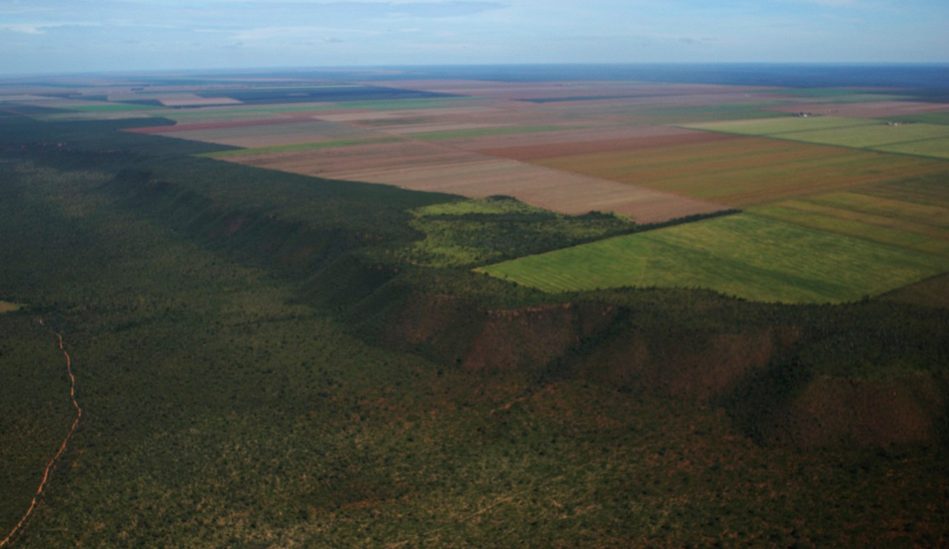La région de Cerrado au Brésil.