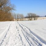 Nouvelles les plus populaires de la semaine