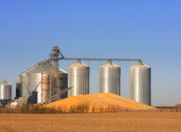 Des stocks de céréales qui déjouent les attentes