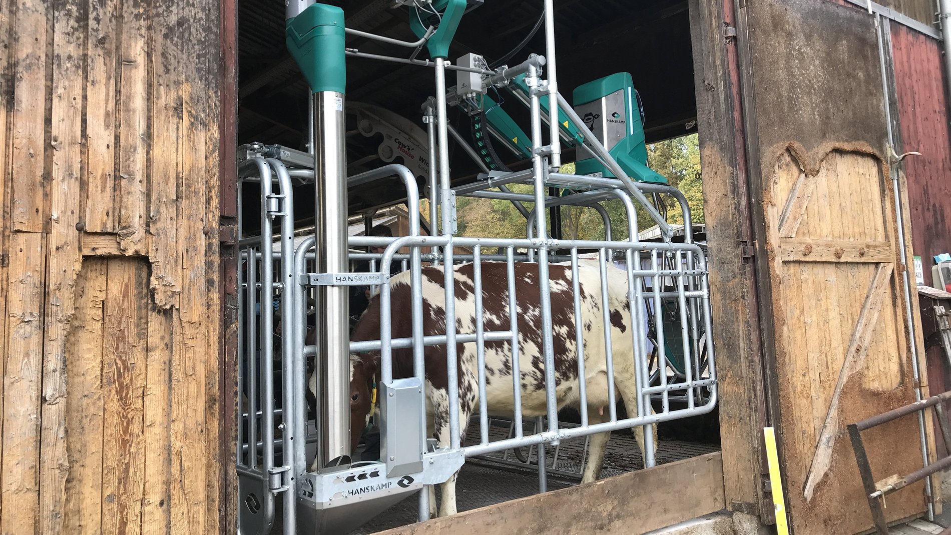 Le CowToilet de la compagnie néerlandaise Hanskamp a remporté l'or lors de la remise prix pour les meilleures innovations lors de l'EuroTier 2021.
