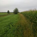 Valeur agronomique et environnemental d'une belle terre équilibré.