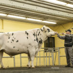 Semex consolide ses opérations pour faire face à la compétition