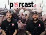 Jean-Philippe Martineau et Louis-Philippe Roy animent le Porcast.