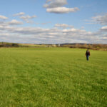 Des conseils pour regarnir ses prairies