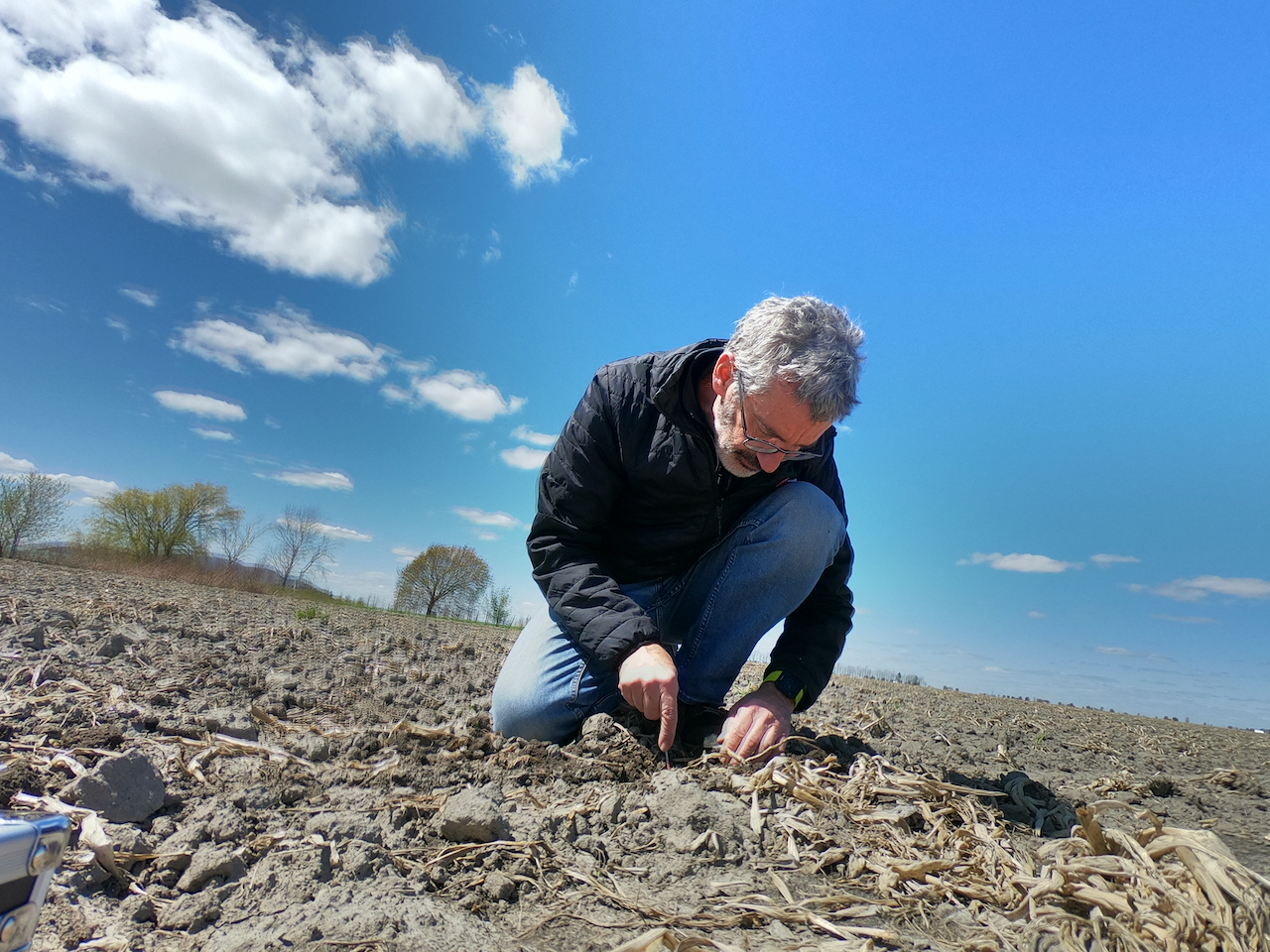 Lorsque la température du sol reste froide, les grains semés avec le germe vers le bas pourront prendre jusqu’à 2 semaines de plus pour émerger