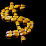 Le bitcorn