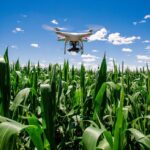 Les drones plus efficaces que les tracteurs ?