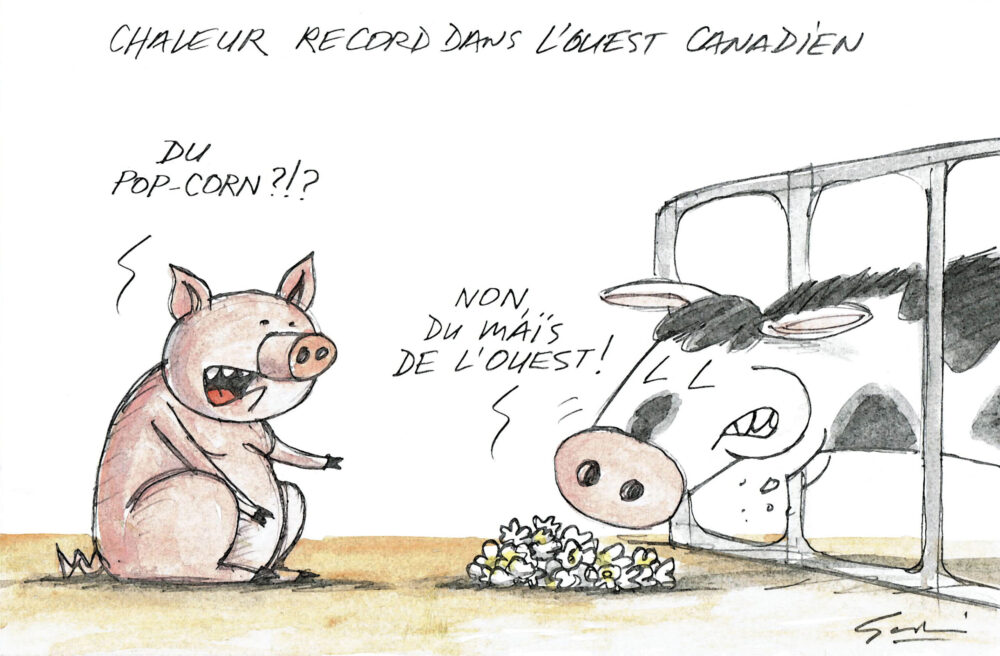 Une savoureuse canicule