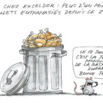 L’art de se nourrir d’une façon écoresponsable