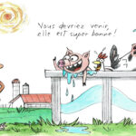 SOS canicule