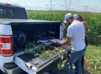 Une des équipes bénévoles évalue des échantillons de soya.