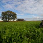 Couvert végétal 2020 précédent nos beaux résultats 2021.