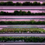 ocea vert tour ferme verticale
