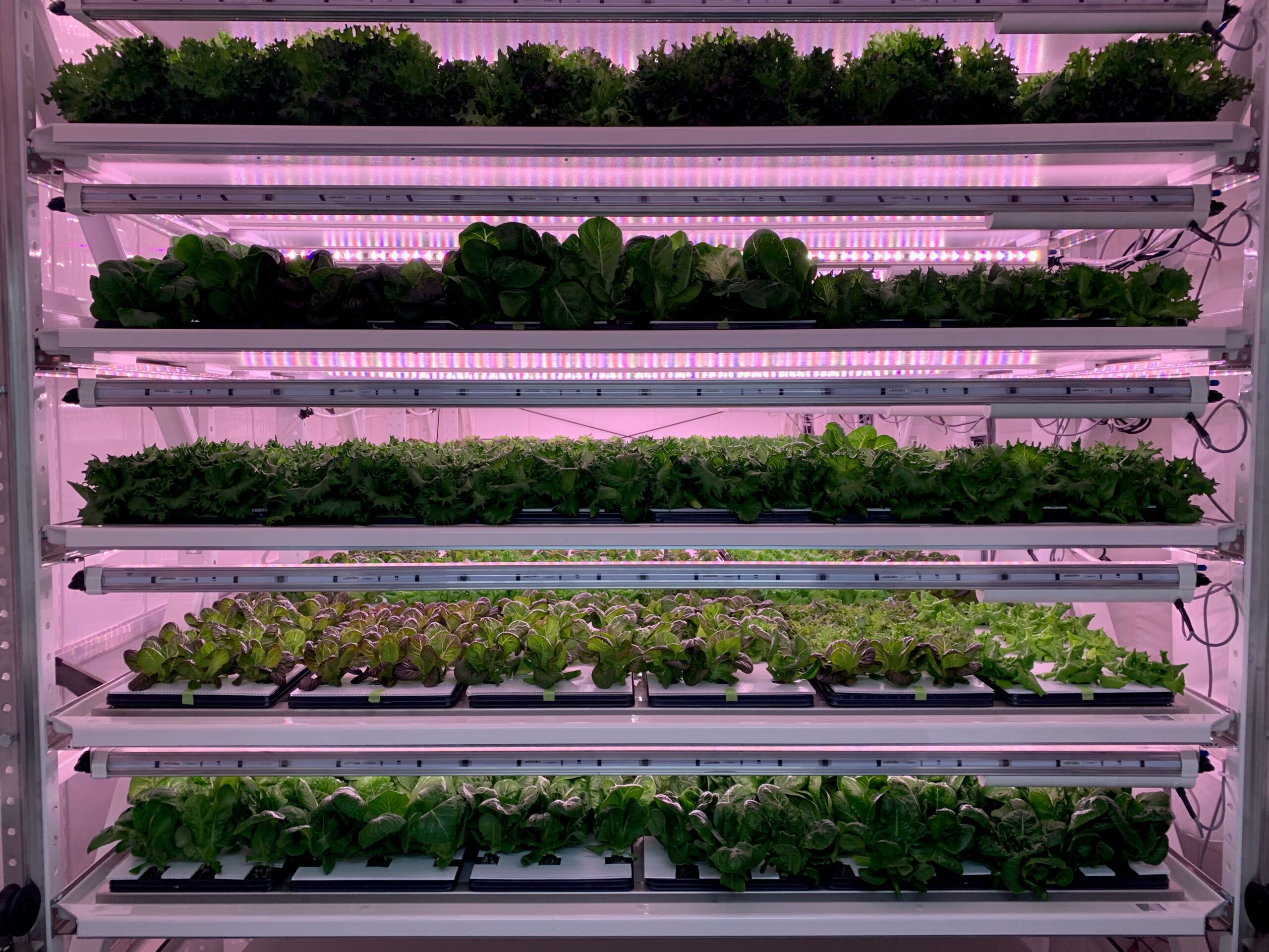 ocea vert tour ferme verticale