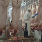 Olymel devance le retrait d’un quart de travail à son usine de Vallée-Jonction