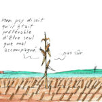 Un épi solitaire