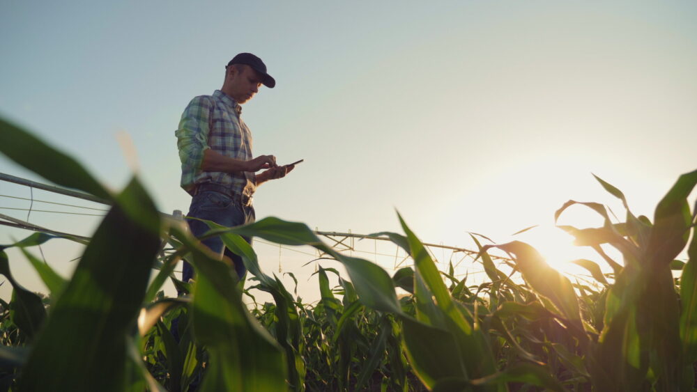 Projet de modification de la loi sur les pesticides : déconnecté et irréaliste