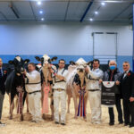 Les trois Holstein ayant ravi les grands titres.