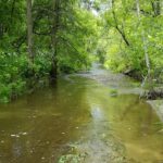Le rivière Rousse à Oka.