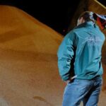 Peut-on sauter une année de fertilisation?