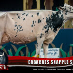 Erbracres Snapple Shakira-ET
