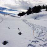 La Niña encore là pour le printemps