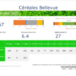 Bon résultat d’un couvert de trèfle en sous couvert de notre blé hiver. Un excellent retour d’azote de haute valeur pour notre maïs-grain 2022. Moins de GES, baisse du coût en fertilisant. Solution carbone : laisser la paille sur le champ.