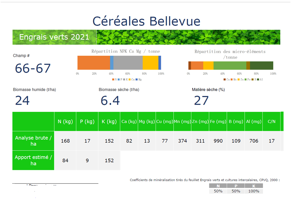 Bon résultat d’un couvert de trèfle en sous couvert de notre blé hiver. Un excellent retour d’azote de haute valeur pour notre maïs-grain 2022. Moins de GES, baisse du coût en fertilisant. Solution carbone : laisser la paille sur le champ.